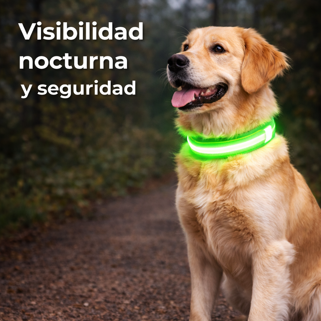 Collar Luminoso LED para Perros.