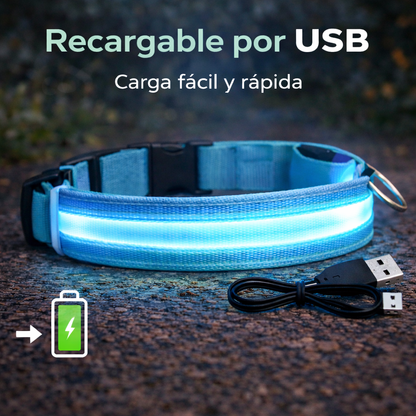 Collar Luminoso LED para Perros.